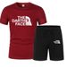 Summer New Set Printed Mesh T-Shirt Men's Casual Loose Round Neck Half Sports Short Sleeve Top_desvips.com