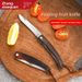Zhang Xiaoquan Fruit Household Folding Portable Knife Dormitory Use Student Stainless Steel Peeling Kitchen Carry-on_desvips.com