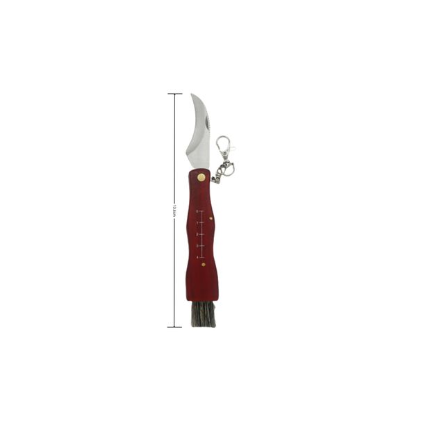 Factory Direct Mushroom Picking Outdoor Small Knife Wooden Handle Folding Rosewood Brush Multi-Functional_desvips.com
