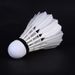 Yashilong RSL Daily Training Stable And Durable RSL5 12-Pack Asia 5 Badminton NO.5 Single Tube_desvips.com