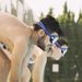 Large Frame Wholesale Electroplated Glasses Non-Prescription Myopia Waterproof Anti-Fog Adult Swimming Goggles_desvips.com