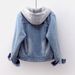 Women's Clothing Velvet Thickened Cotton Cotton Coat Removable Hooded Warm Lambswool Cotton Coat Short Style_desvips.com