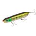 Lua Long Cast Surface Bait Bait Gear Bait_desvips.com