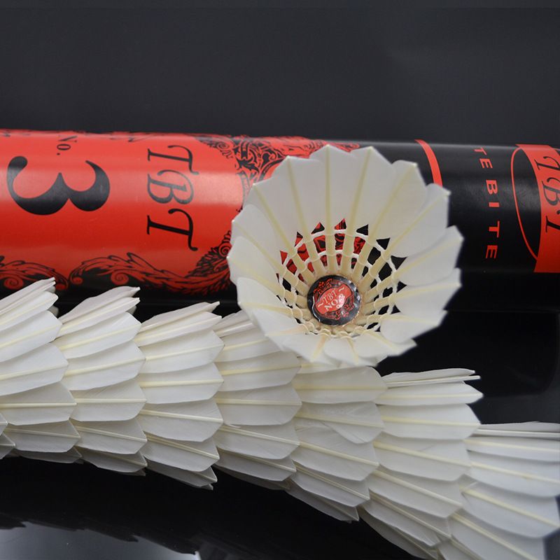 TBT Stable Flight Durable 12-Pack Competition Training Professional Badminton 7776_desvips.com