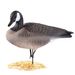 Cross-Border Exclusive EVA Soft Rubber Foldable Canadian Black Thigh Hunting Wild Garden Landscape Goose Decoy_desvips.com
