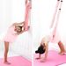 Fitness Equipment Door Rope Ligament Lower Back Trainer Aerial Yoga Stretch Strap_desvips.com