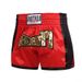 ANOHERBOXER Black Net Style Muay Thai Pants Fighting Martial Arts Sanda Boxing Shorts Men And Women
Kids_desvips.com