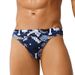 Wholesale Supply Of Men's Triangle Swim Briefs, Sexy Bikini With Anti-embarrassment And Anti-exposure Features, Beach_desvips.com