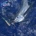 ANFS 11.8" Resin Head Trolling Fishing - 1pc Rigged Ready Big Game Lure For Tuna, Wahoo, Swordfish & Trim Fish_desvips.com