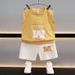 Summer New Vest Boys' Sleeveless Top And Shorts Korean Style Baby Thin Two-Piece Set Children's Clothing Wholesale_desvips.com