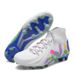 Cross-Border Youth Student Outdoor Sports Big Kids Football AG Long TF Short Spikes Training Shoes Men Wholesale_desvips.com