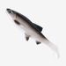 Shark Skimmer|Large T Tail Lure Soft 38g Realistic Fin Multi-color Bionic Fish Sea Fishing Bait_desvips.com