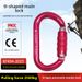 O-Type Automatic Outdoor Fire Safety Climbing Connection Buckle Symmetrical Master Lock_desvips.com