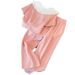 women's clothing sports and leisure suits for women summer fashionable temperament age reducing wide leg pants two piece set_desvips.com