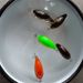 VTAVTA 5pcs/lot Mini Wobblers Pike Fishing Lure Set 36mm 3.6g Crankbait Minnow Lure Hard Artificial Bait With Fishing Tackle Box_desvips.com