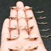 20Pcs(with Flies Box) Fly Fishing Flies Nymph Bait Dry Flies Lure For Flishing Trout/carp Fishing Artificial Lure Accessories_desvips.com