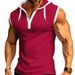 001 Cross-Border In-Stock Men's Muscle Sleeveless Hooded Polo Shirt_desvips.com
