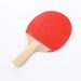 F101-2S Two Rackets Three Balls Table Tennis Racket Net Stand Toy Set_desvips.com