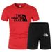 Summer New Set Printed Mesh T-Shirt Men's Casual Loose Round Neck Half Sports Short Sleeve Top_desvips.com
