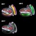 FJORD 8-strand Braided Fishing Line Multifilament Carp Line 300m 150m Fishing Wire Cord Item Equipemnt Fishing Accessories_desvips.com