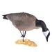 Cross-Border Exclusive EVA Soft Rubber Foldable Canadian Black Thigh Hunting Wild Garden Landscape Goose Decoy_desvips.com