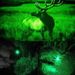 Tactical LED Light Flashlight Kit With Red/Green Light 350 Yards Remote Pressure Switch Picatinny Mount For Outdoor Use_desvips.com