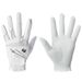 Golf Men's Palm Silicone Particles Anti-Slip Breathable Wear-Resistant Novice GOLF Training Gloves Single_desvips.com