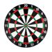 Dart Set - Professional Darts With Double-Sided Flocked Dartboard For Home Use_desvips.com