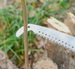 1 Piece Of Three-sided Grinding Tooth High-altitude Garden Tool Saw, Fruit Tree Pruning Saw_desvips.com