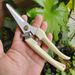 Stainless Steel Scissors Flower Cutting Flower Arrangement Pruning Fruit Tree Garden Branch Cutting Household Grafting Pruning_desvips.com