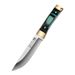 Traditional Mongolian Style Meat Knife - Stainless Steel Camping & BBQ Knife With Ergonomic Handle For Outdoor Cooking, Hunting, And Fruit Cutting_desvips.com