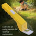 Cross-Border Hot Item Catcher Handheld Trap Outdoor Exploration Insect Observation Box_desvips.com