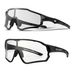 ROCKBROS Photochrome Cycling Sunglasses for Cycling, Driving, Fishing_desvips.com