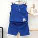 Boys' Vest Set 2025 New Waffle Pattern Top Sleeveless Shorts Baby Children's Thin Summer Outfit Trendy_desvips.com