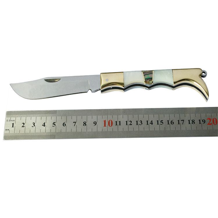 Stainless Steel Multifunctional Fruit Exquisite Shell Everyday Peeling Pocket Knife, Package Opening Folding Knife_desvips.com