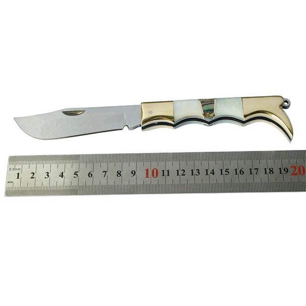Stainless Steel Multifunctional Fruit Exquisite Shell Everyday Peeling Pocket Knife, Package Opening Folding Knife_desvips.com