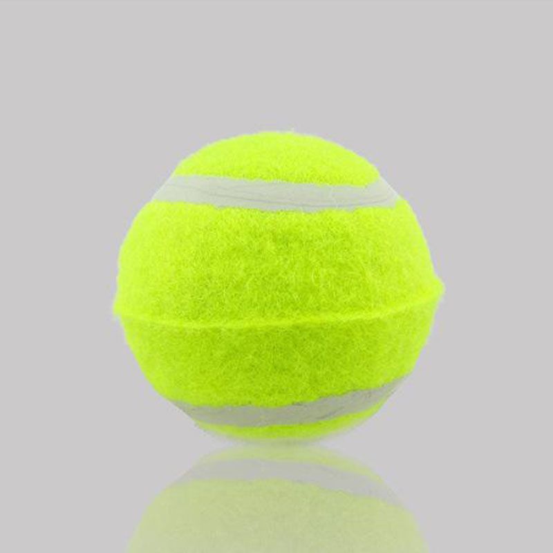 Tennis Training Ball For Beginners, Tennis Intermediate Training Ball For Dogs, Pet Tennis Massage Fitness Ball_desvips.com