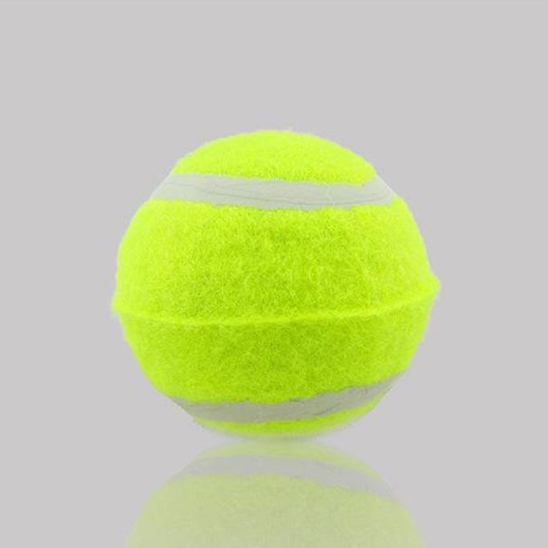 Tennis Training Ball For Beginners, Tennis Intermediate Training Ball For Dogs, Pet Tennis Massage Fitness Ball_desvips.com