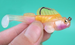 Jumping Fish Lure Anti-Hooking Bait Bass, Catfish, Perch, Special For Sea And Freshwater Fishing_desvips.com