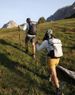 Buy Get One Free: Aluminum Alloy Ultra-light Telescopic Poles, Outdoor Hiking Equipment, Anti-slip Climbing Sticks_desvips.com