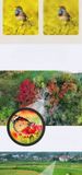 Mobile Phone Telescope For Concert Photography, Metal Monocular High-power High-definition Mini Outdoor Portable Corner_desvips.com