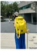 Cross-border Outdoor For Sports And Skiing, Large-capacity Skateboard Leisure , Travel Storage Multi-functional_desvips.com