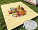 New Moisture-Proof Thickened Waterproof Portable Outdoor Camping Beach Grass Picnic Spring Outing Mat_desvips.com