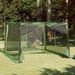 Weatherproof Camping Tent - Spacious 303 X 303 Cm Design, Integrated Mesh For Ventilation, Ideal For Summer Outdoors - Blue/Gray/Green_desvips.com