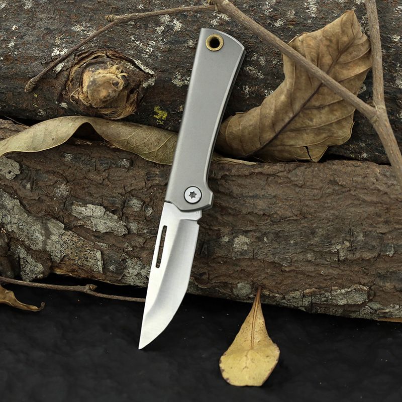 Titanium Alloy High Hardness Mini Utility Folding Keychain Courier Outdoor Fruit Knife Self-Defense_desvips.com