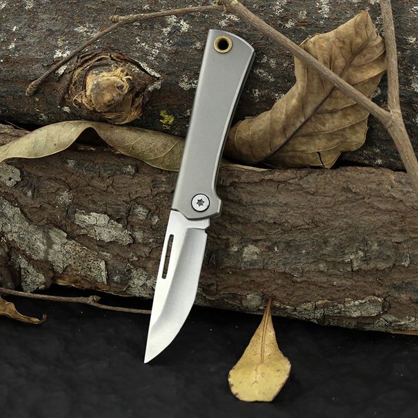 Titanium Alloy High Hardness Mini Utility Folding Keychain Courier Outdoor Fruit Knife Self-Defense_desvips.com