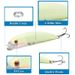 Lure Minnow 3D Lure Lure 17g/12cm Simulation Fish Lure Hard Lure Fishing Products_desvips.com