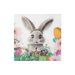 PomParty Easter Bunny Printed Napkins, Popular 20-Pack Cute Cartoon Holiday Home Decorative Tissues_desvips.com