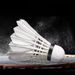12-Pack Badminton Shuttlecocks Durable Windproof Stable Elastic Unbreakable White Feather High Elasticity Indoor Outdoor_desvips.com