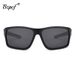 Sports Cycling Polarized Sunglasses, Daily Leisure Hiking Fishing Sunglasses, Driving And Driving Glasses_desvips.com